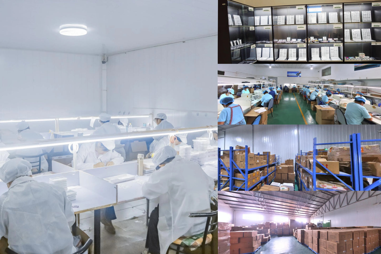 Luxury Individual Cluster Lashes (8–16mm) – Natural Volume