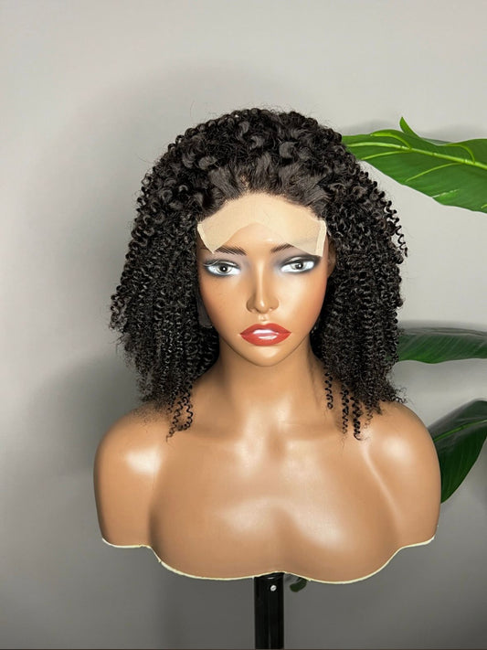 Kinky Curly HD Lace Wig | 100% Human Hair