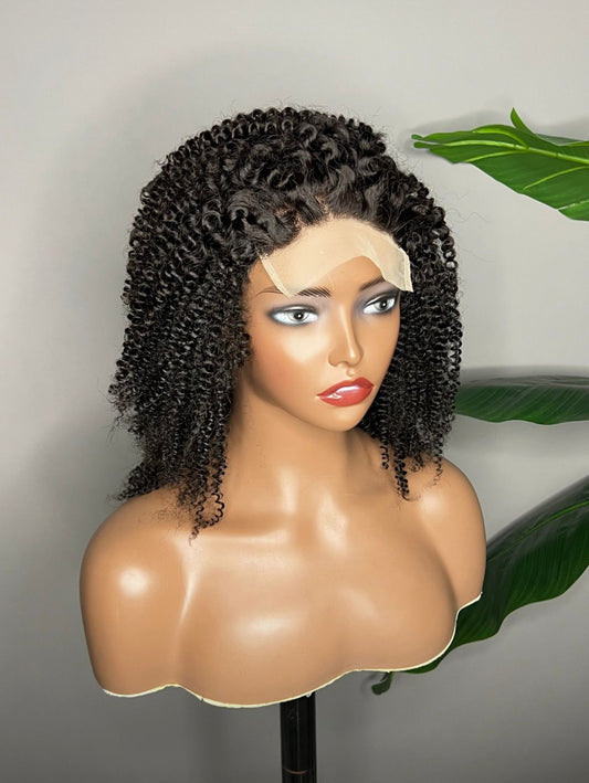 Kinky Curly HD Lace Wig | 100% Human Hair