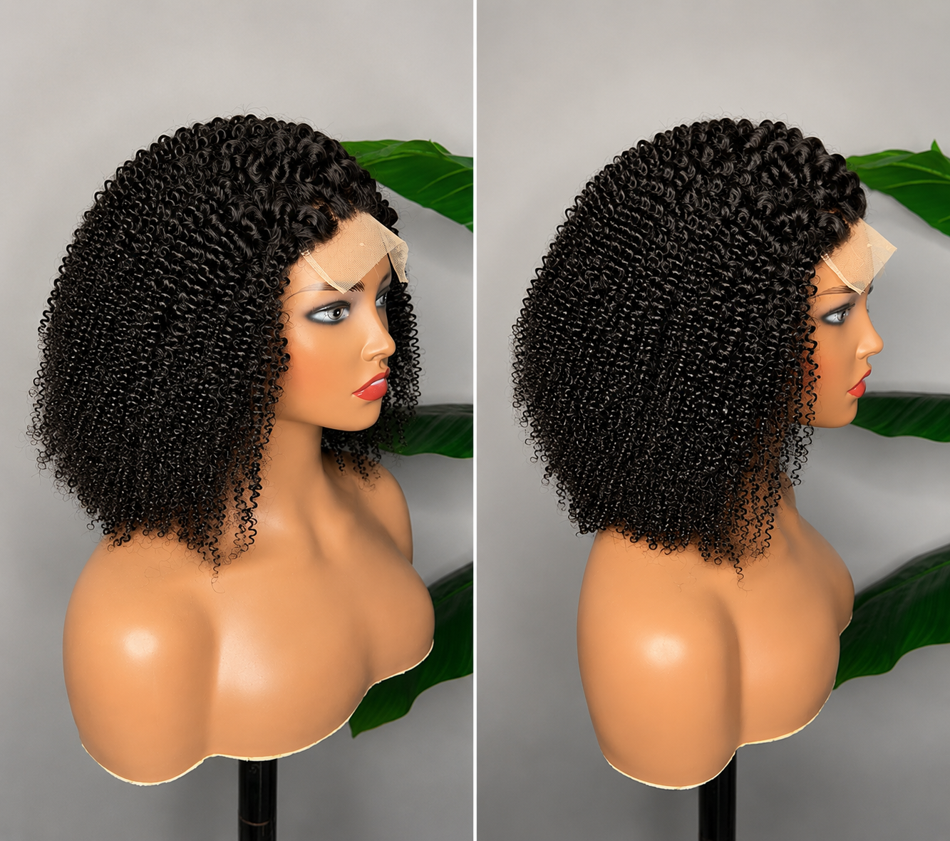 Kinky Curly HD Lace Wig | 100% Human Hair