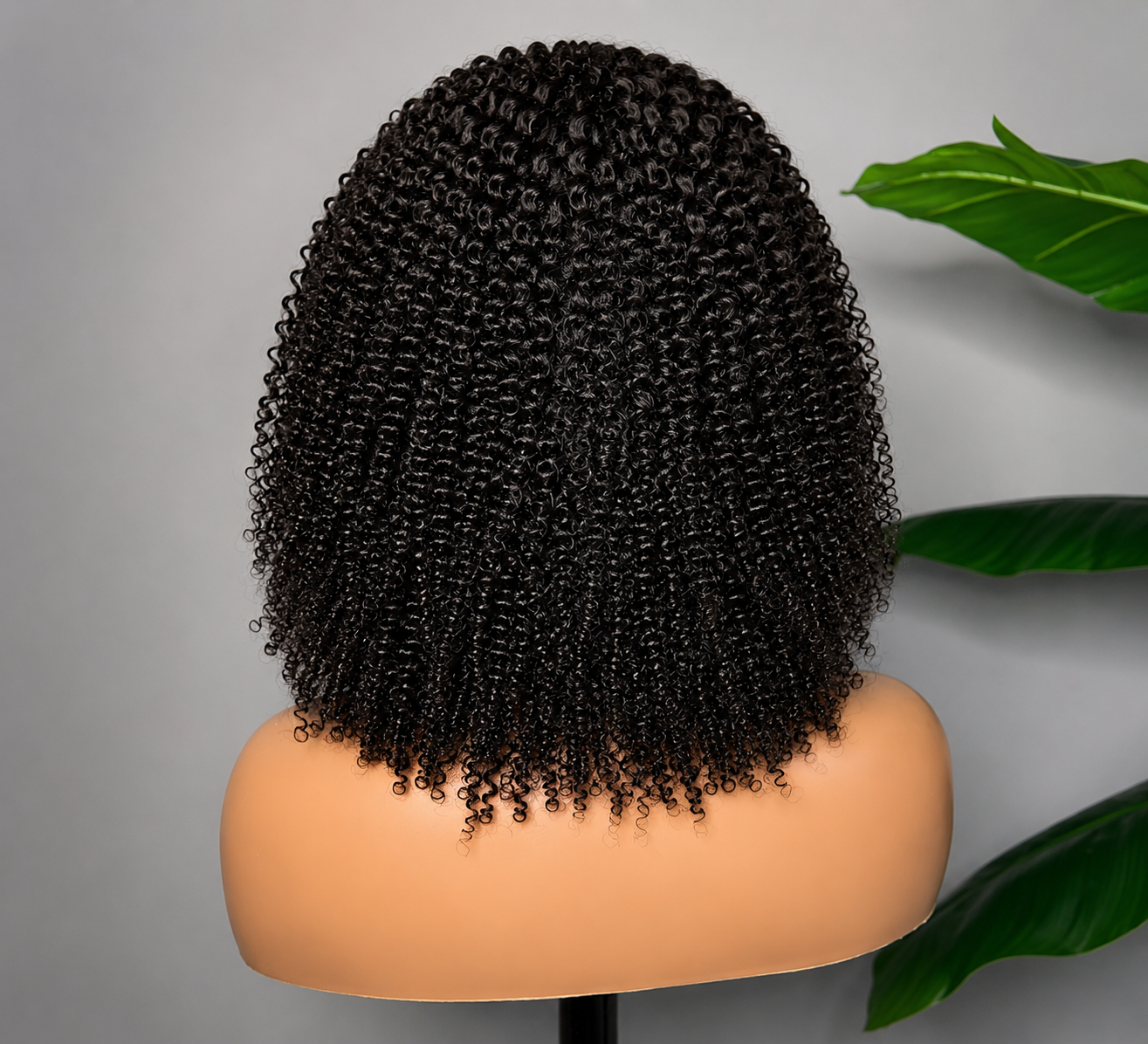 Kinky Curly HD Lace Wig | 100% Human Hair